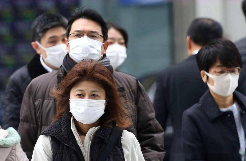 xm外汇平台登录AI辅助去核提高犬科动物克隆效率